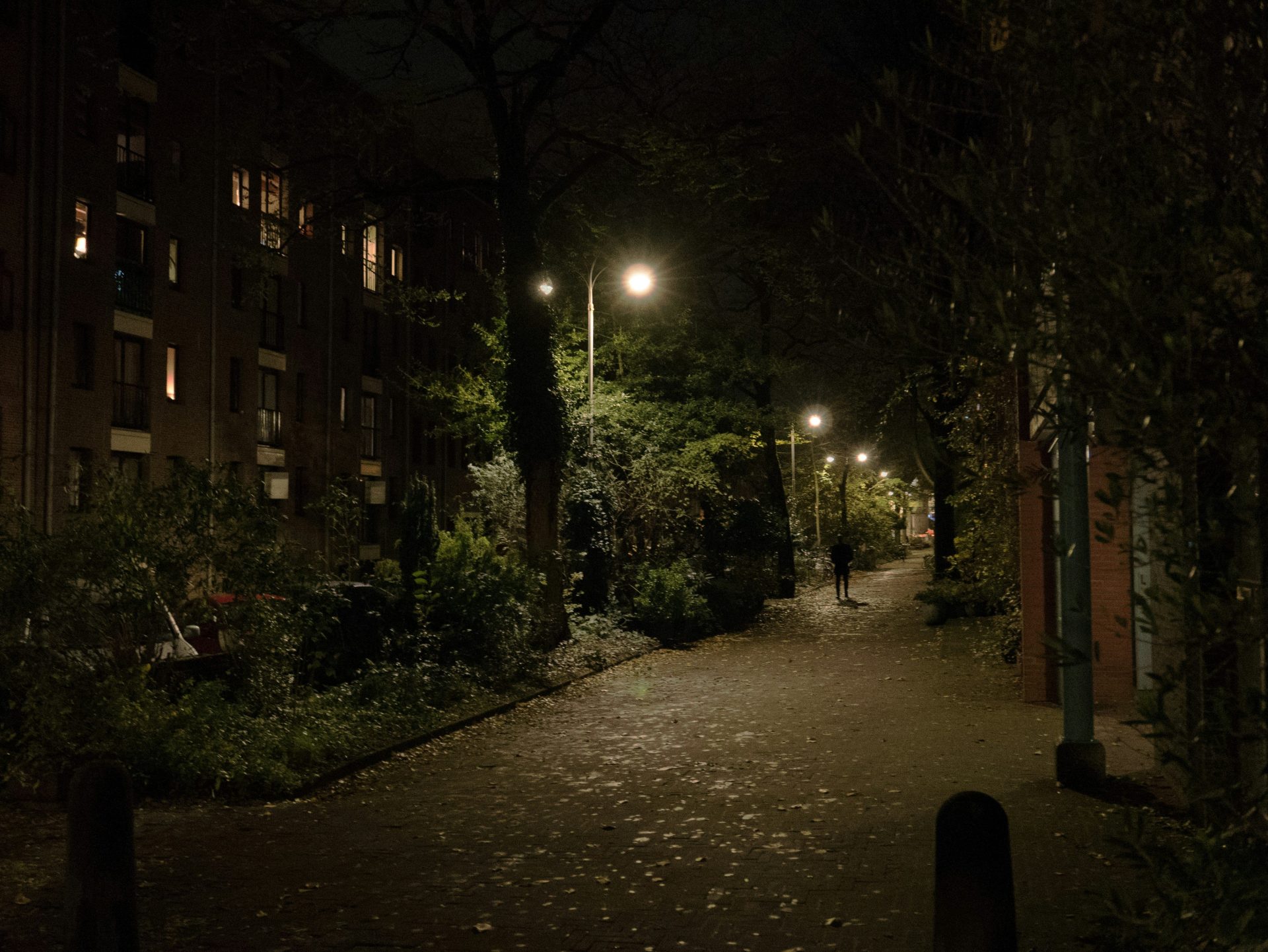 Eine dunkle Straße bei Nacht mit eingeschalteten Straßenlaternen